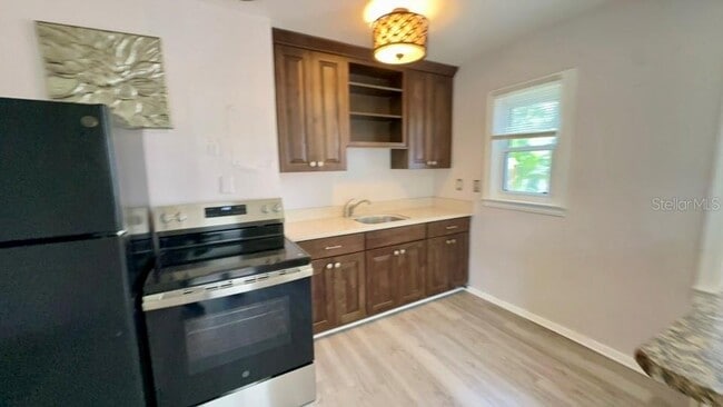332 Buena Vista Dr S in Dunedin, FL - Building Photo - Building Photo