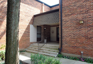 Cobblestone Court Condominiums in Palatine, IL - Building Photo - Building Photo