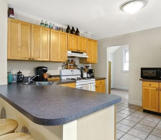 12 Cutter Ave, Unit 1 in Somerville, MA - Foto de edificio