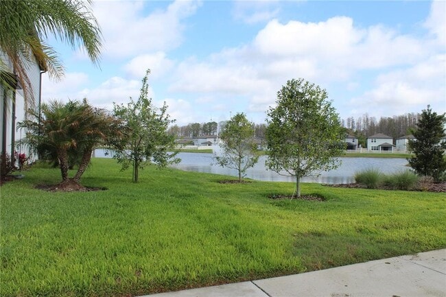 20475 Monza Loop in Land O Lakes, FL - Building Photo - Building Photo