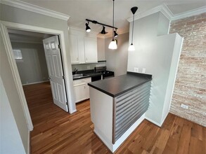 219 Marshall St in Houston, TX - Building Photo - Building Photo