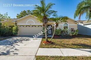 11217 Bramblebrush St in Tampa, FL - Building Photo