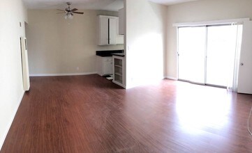 6241 Afton Pl in Los Angeles, CA - Building Photo - Building Photo