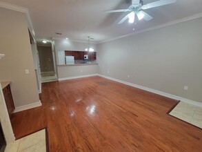 1517 Crescent Hills Dr in Tallahassee, FL - Building Photo - Building Photo
