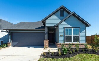 16039 Emerald Thistle Ln in Cypress, TX - Building Photo