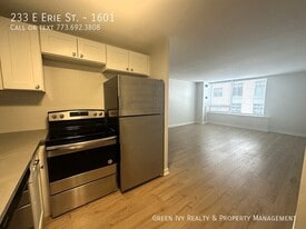 233 E Erie St in Chicago, IL - Building Photo
