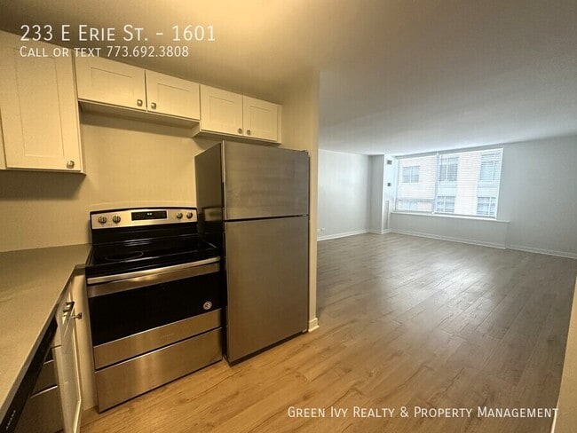 property at 233 E Erie St