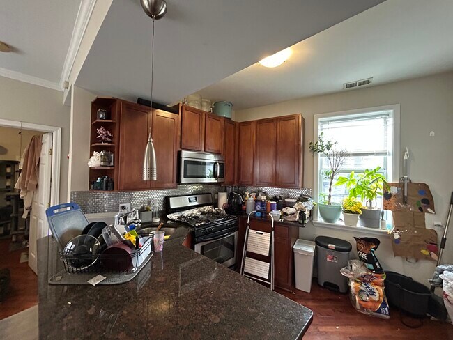 1621 W Wallen Ave in Chicago, IL - Building Photo - Building Photo
