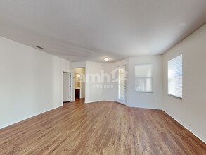 19554 Timberbluff Dr in Land O Lakes, FL - Building Photo - Building Photo