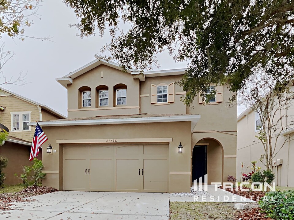 31738 Spoonflower Cir in Wesley Chapel, FL - Building Photo