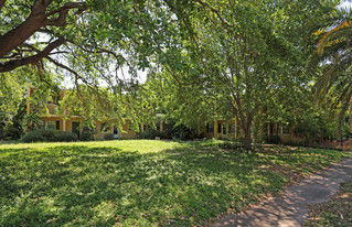 Palm View Apartments in Tampa, FL - Building Photo