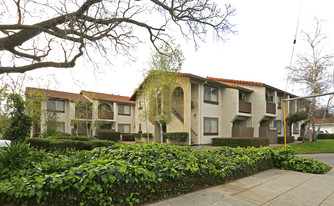 561 Saratoga Ave Apartments