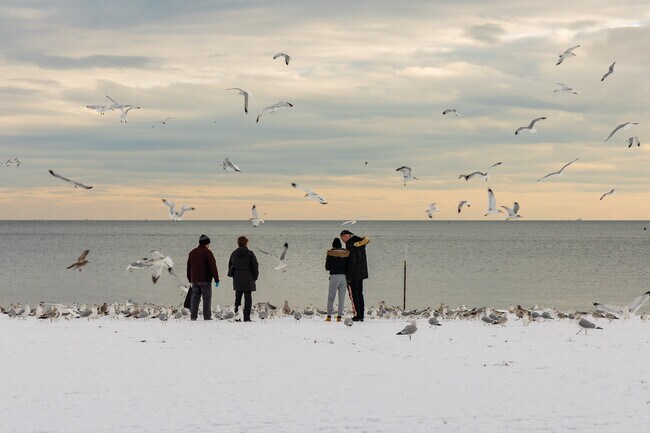 Apartamentos Alquiler en Brighton Beach, NY