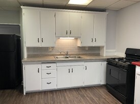 209 E 4th St in Duluth, MN - Building Photo