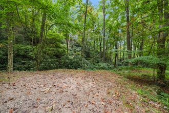 202 Blue Grass Rd in Roan Mountain, TN - Building Photo - Building Photo
