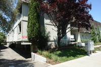 Greentree Apartments in San Jose, CA - Foto de edificio - Building Photo