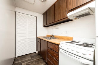 Camellia Court Apartments in Daytona Beach, FL - Foto de edificio - Building Photo