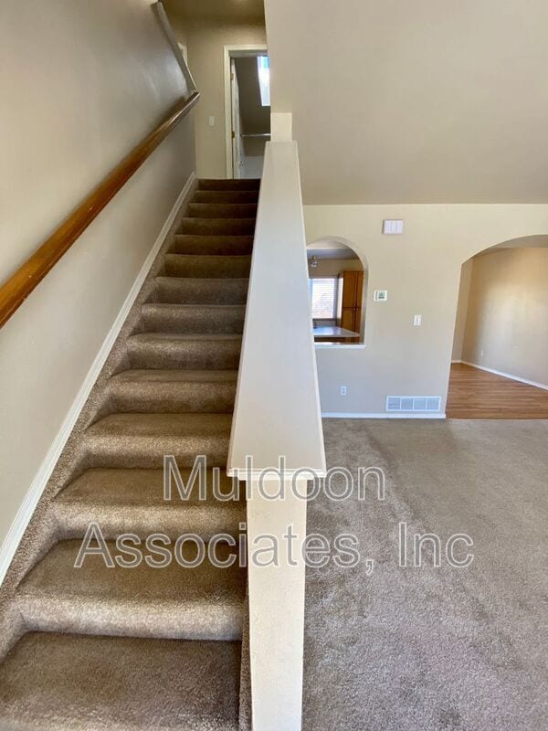 1048 Scarlet Oak Dr in Colorado Springs, CO - Building Photo - Building Photo