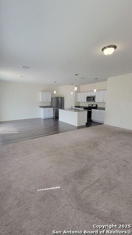 13538 Sunrise Mdw in Saint Hedwig, TX - Building Photo - Building Photo