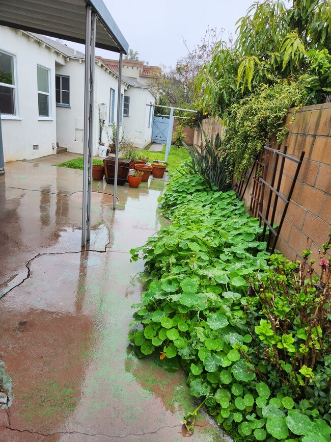 12019 Ocean Park Blvd, Unit 12019 in Los Angeles, CA - Foto de edificio - Building Photo