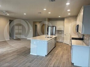 11556 N Desert Calico Lp in Oro Valley, AZ - Building Photo - Building Photo