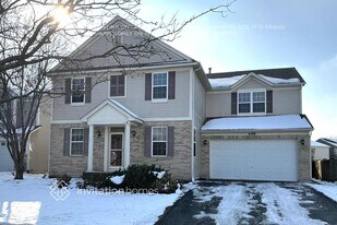 699 Bonaventure Dr in Oswego, IL - Building Photo