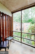 3719 12th St NE, Unit 202 in Washington, DC - Foto de edificio - Building Photo