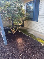 222 SE Ford St in McMinnville, OR - Building Photo