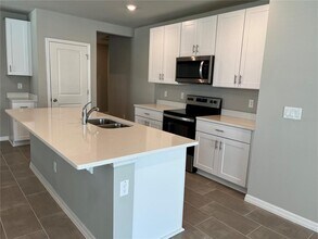 34823 Telluride Ln in Zephyrhills, FL - Building Photo - Building Photo