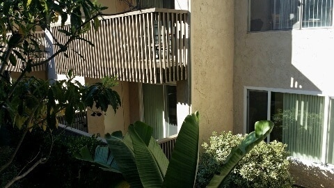 8650 Via Mallorca in San Diego, CA - Building Photo - Building Photo