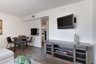 Courtyard at Encanto Apartments in Phoenix, AZ - Building Photo - Interior Photo