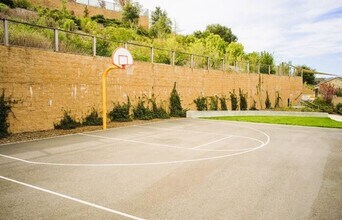 313 Jacquelyn Ln in Petaluma, CA - Building Photo - Building Photo