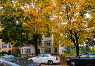 238 N Pine Ave in Chicago, IL - Building Photo - Building Photo