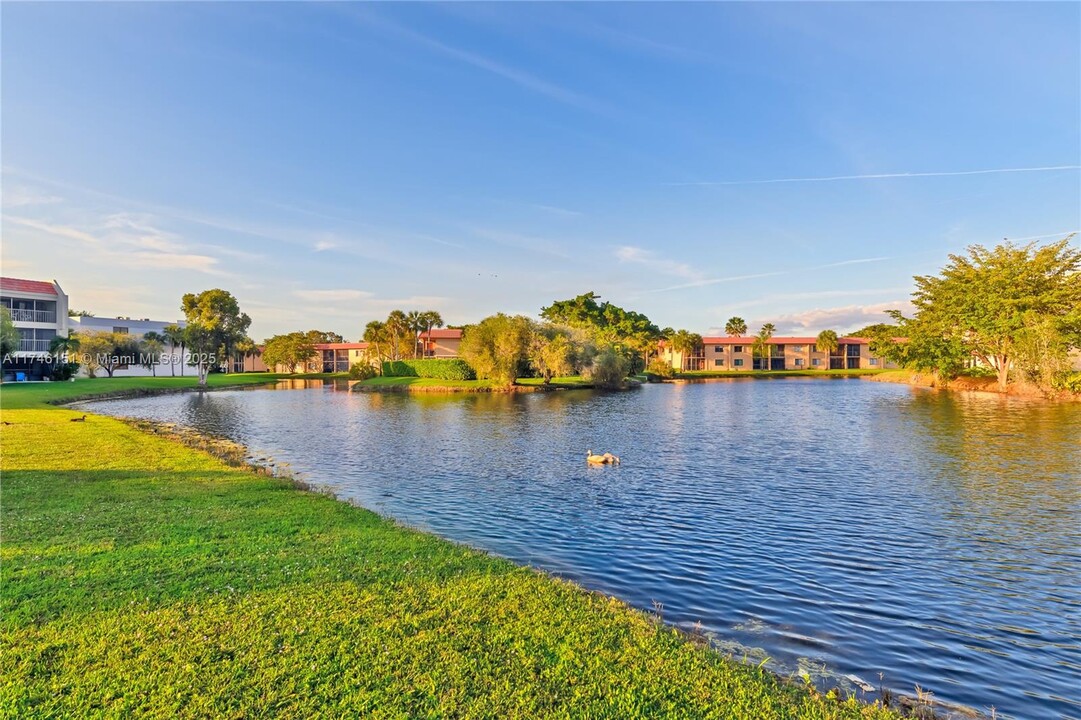 220 Lakeview Dr in Weston, FL - Foto de edificio