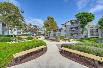 Tradition in Carlsbad, CA - Building Photo - Building Photo