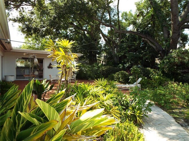 3103 N Julia Cir in Tampa, FL - Building Photo - Building Photo