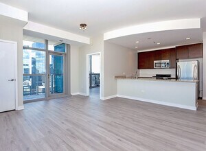 303 W Ohio St in Chicago, IL - Building Photo - Building Photo