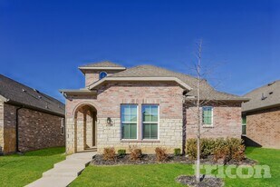 2528 Finch Holw Dr in McKinney, TX - Building Photo
