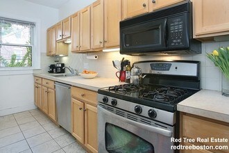 17 Regent Cir, Unit 2 in Brookline, MA - Building Photo - Building Photo