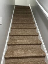 133-133 Florence Ct in Nicholasville, KY - Building Photo - Building Photo