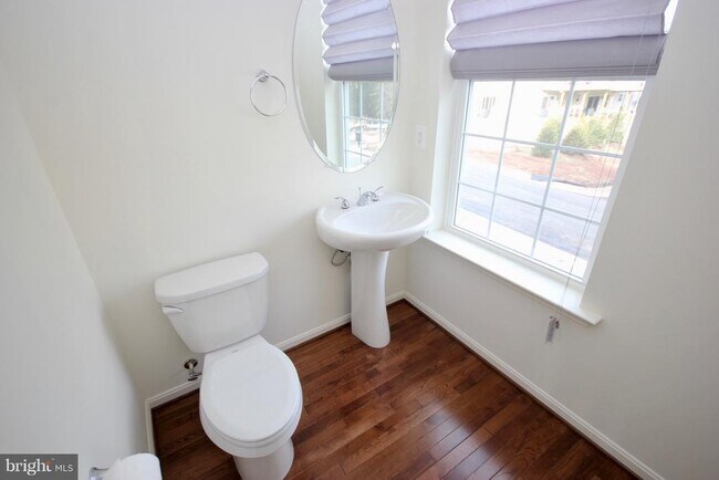21517 Willow Breeze Sq in Ashburn, VA - Building Photo - Building Photo