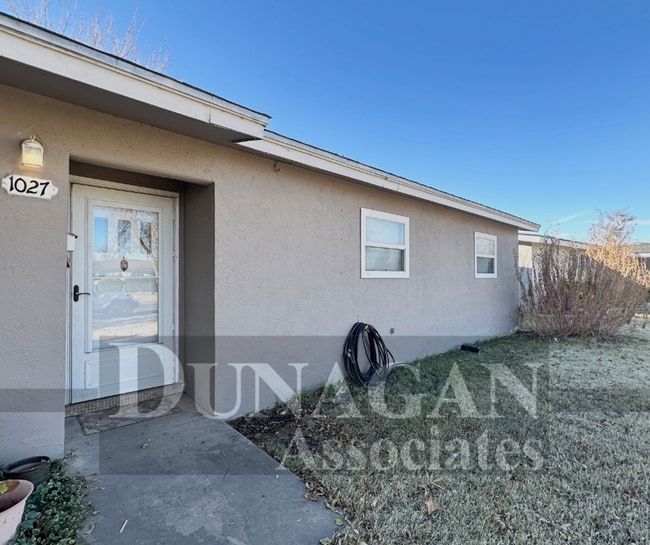 property at 1027 Alamosa St