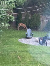 27 Valley Trl in East Gwillimbury, ON - Building Photo - Building Photo