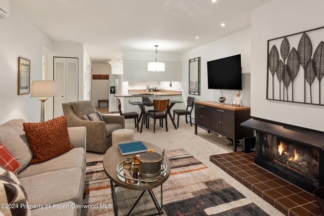 205 E Durant Ave, Unit 3-F in Aspen, CO - Building Photo - Building Photo