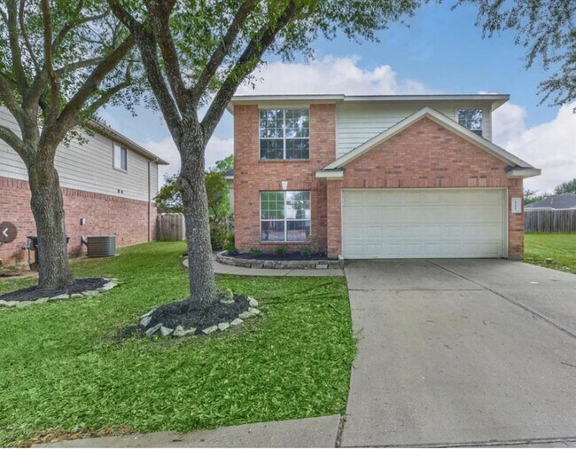 19619 Tigris Springs Cir in Katy, TX - Building Photo - Building Photo