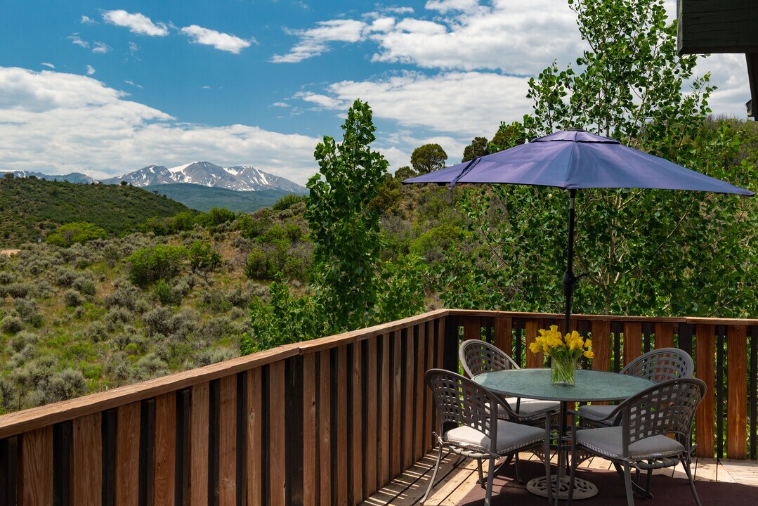 614 Light Hill Rd in Snowmass, CO - Building Photo