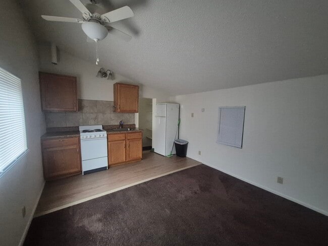 828 1/2 E Cache La Poudre St in Colorado Springs, CO - Building Photo - Building Photo