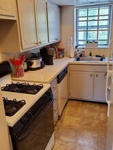31 Lake Shore Ct in Boston, MA - Building Photo - Building Photo