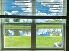 7904 Timberview Loop in Wesley Chapel, FL - Building Photo - Building Photo