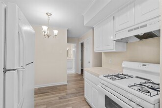 102 The Strand in Galveston, TX - Building Photo - Building Photo